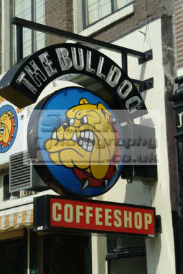 European Coffee Shop on Coffee Shops Bulldog Amsterdam Dutch Netherlands European Travel